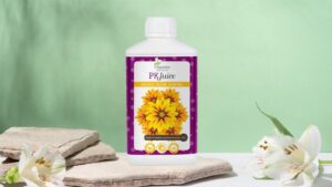 Organic Nutrients PK JUICE bei Starnabis erhältich