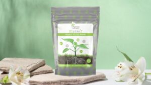 Organic Nutrients Si Star bei Starnabis erhältich