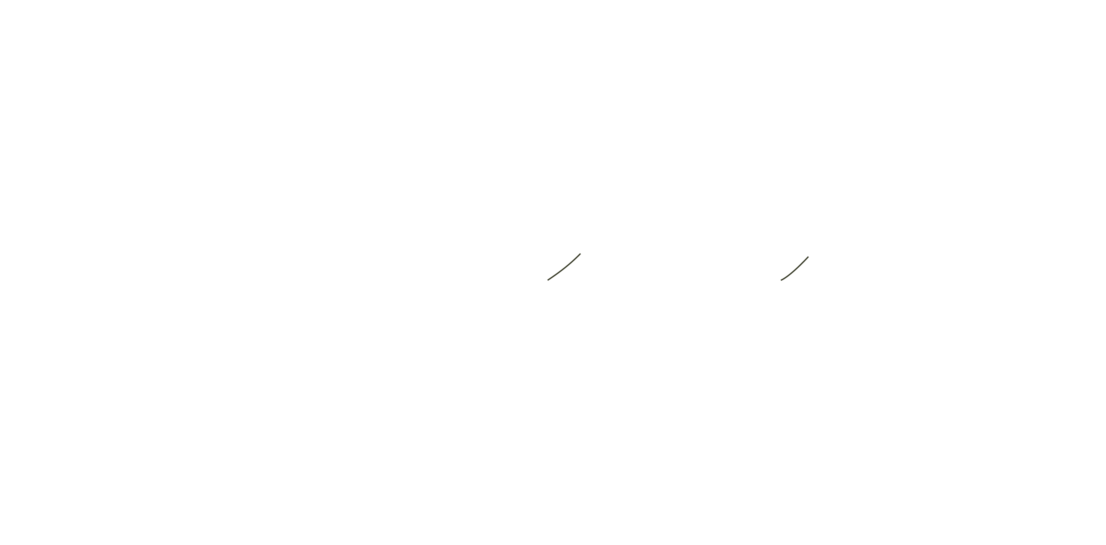 Starnabis GmbH - High Balance - Herbs & More Waldshut-Tiengen