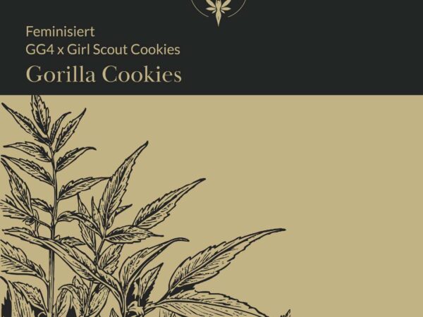 Starnabis Feminized Seeds