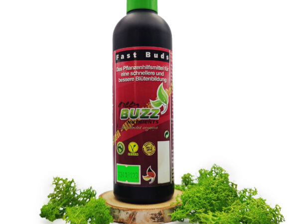 GreenBuzz Big Fruits